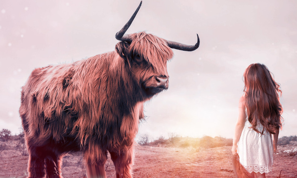 Dépasser la peur : la comprendre, la gérer et surmonter ses démons intérieurs